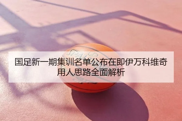 国足新一期集训名单公布在即伊万科维奇用人思路全面解析