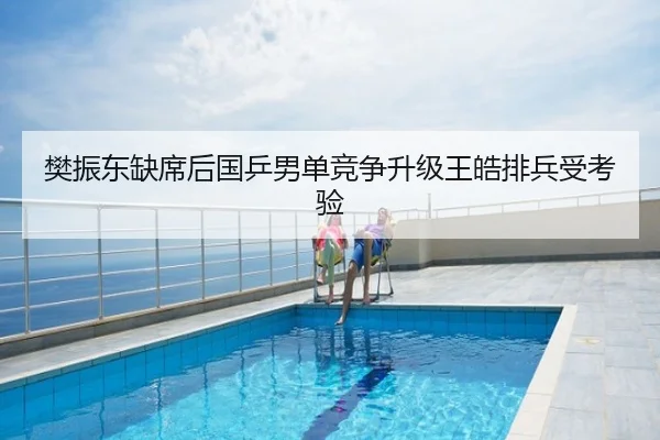 樊振东缺席后国乒男单竞争升级王皓排兵受考验